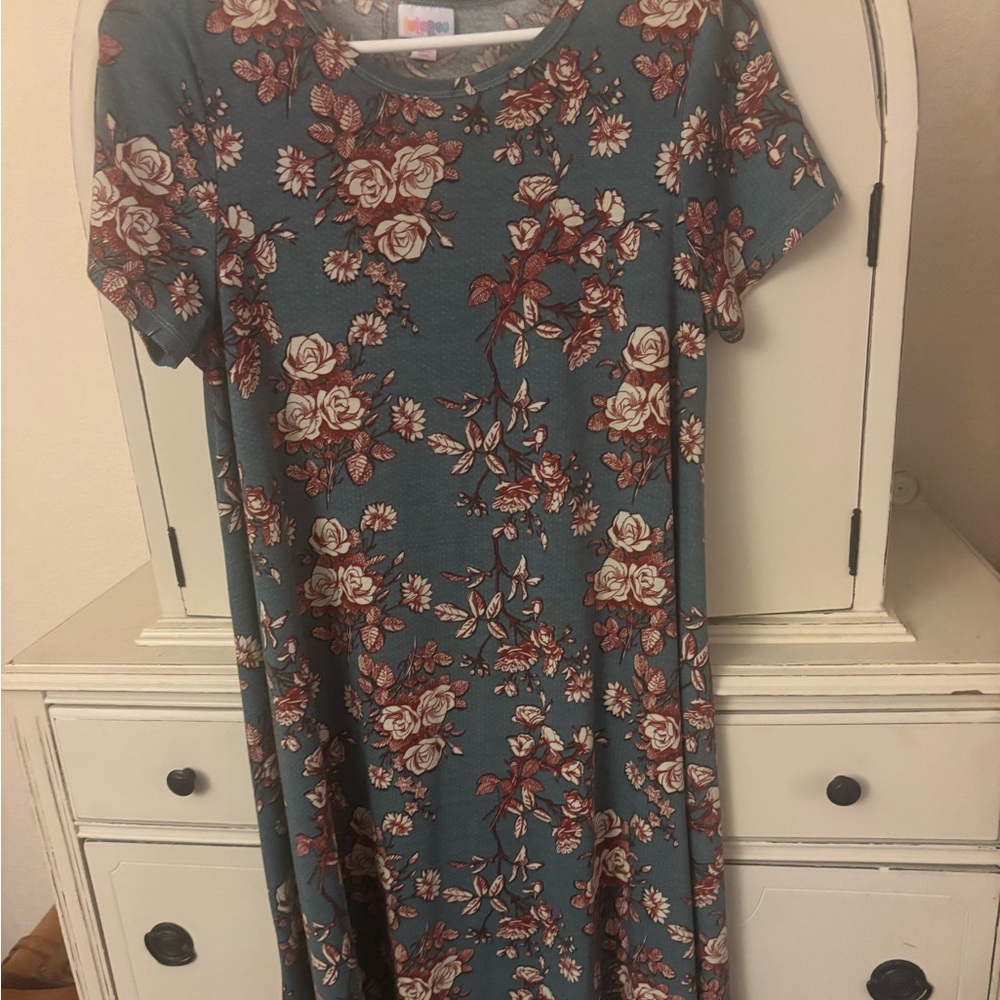 LuLaRoe Blue and Pink Floral Dress